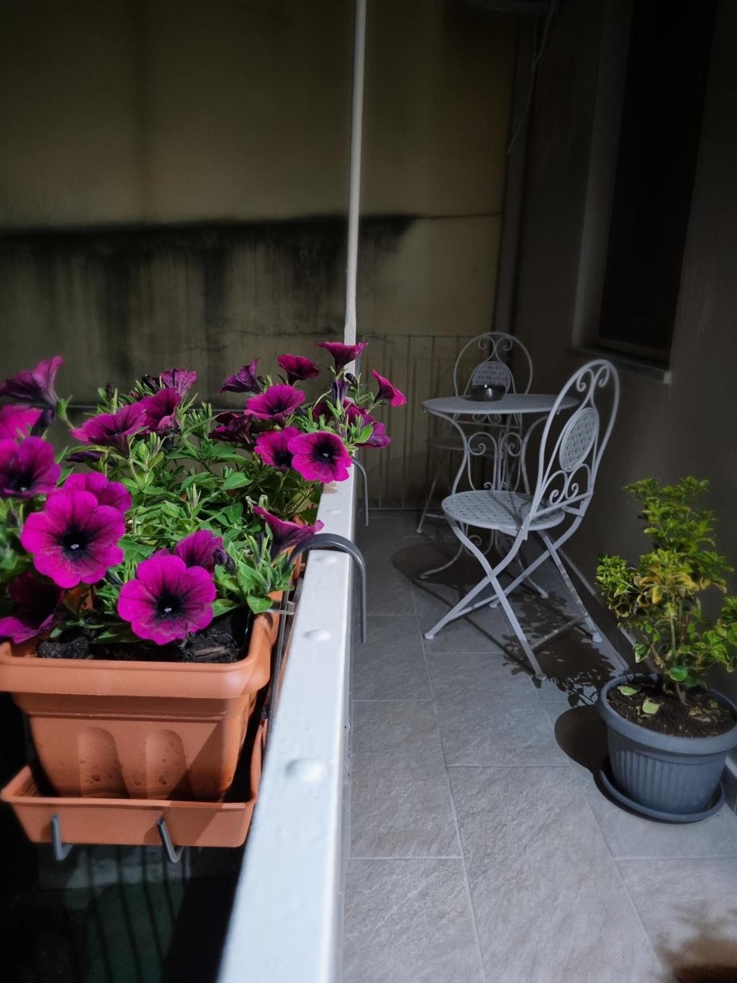 Appartement Ca Fiamma 2 à Casale Monferrato Extérieur photo